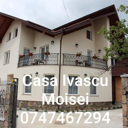 Casa Ivascu Moisei Otel Dış mekan fotoğraf