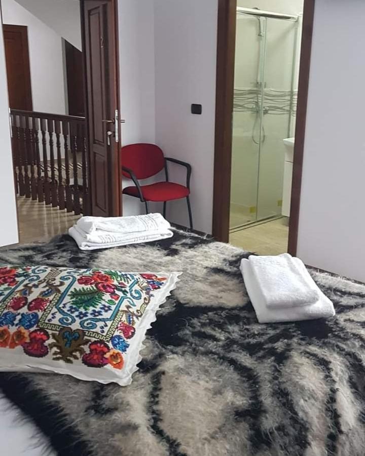 Popasul Calatorului Otel Moisei Dış mekan fotoğraf