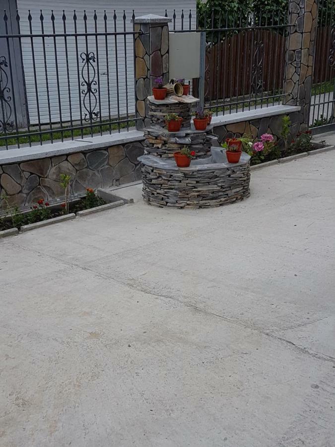 Popasul Calatorului Otel Moisei Dış mekan fotoğraf