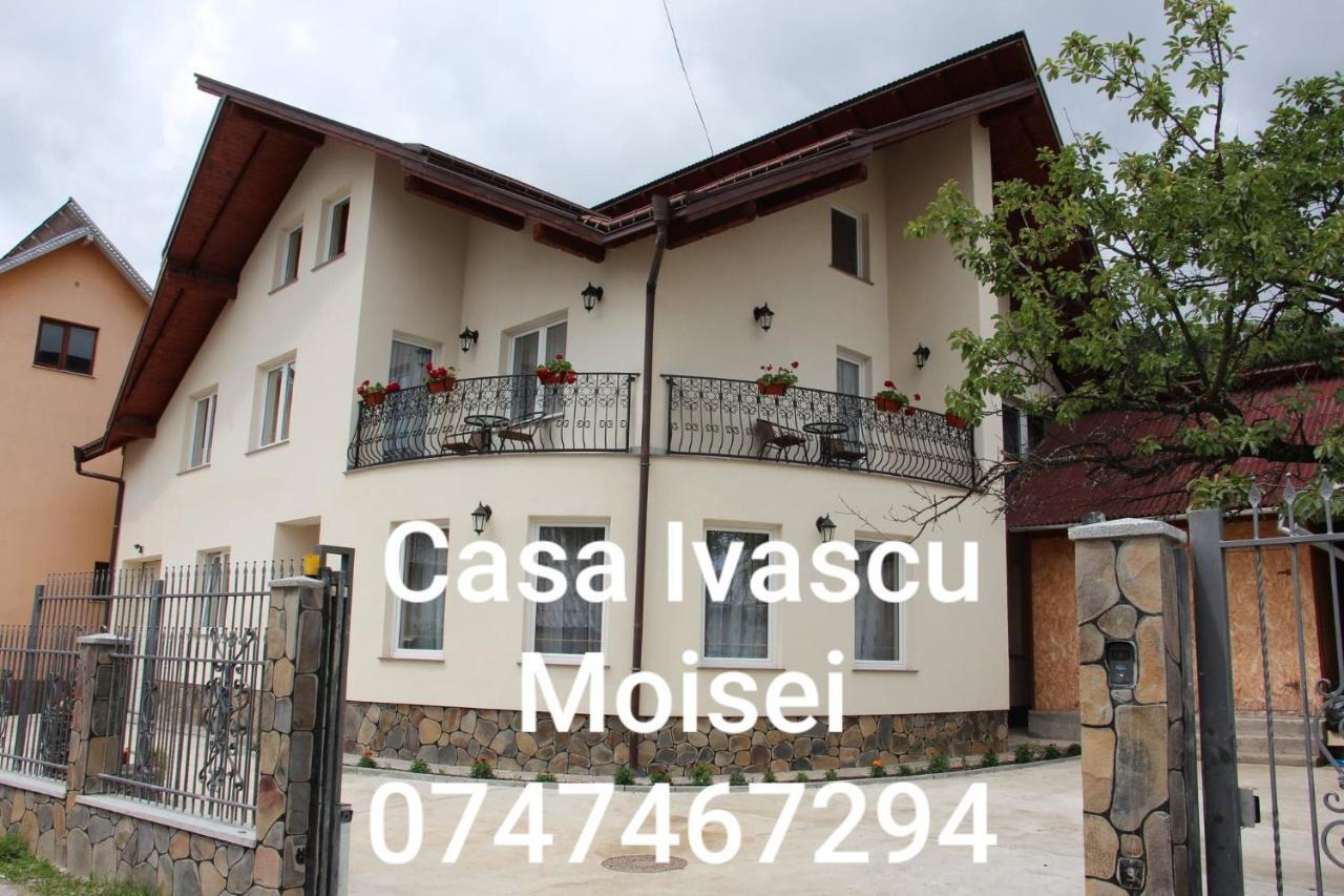 Casa Ivascu Moisei Otel Dış mekan fotoğraf